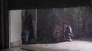 BNQGLTPBIXHALIWFOD31HMN883