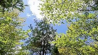HCYSUVZWPGKKVAWHBEJUR580